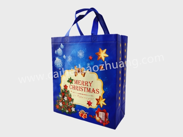 彩匯包裝 禮品手提袋  無紡布環保手提袋