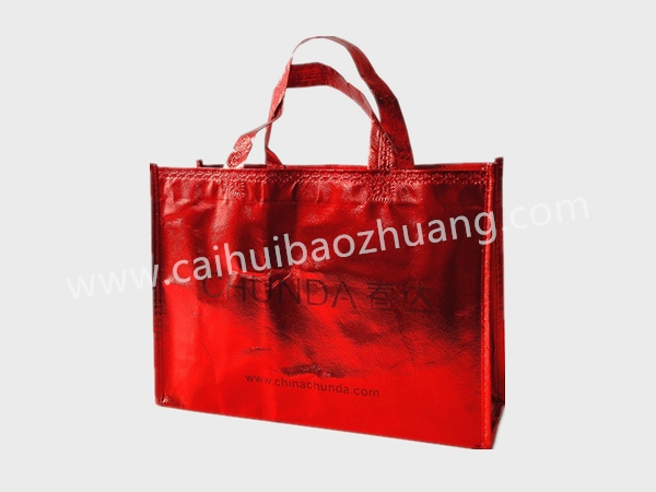 彩匯包裝無紡布鞋袋、定制手提袋