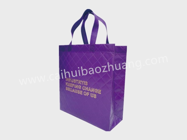 彩匯包裝 手提包裝袋定制廠家 個性手提袋定制